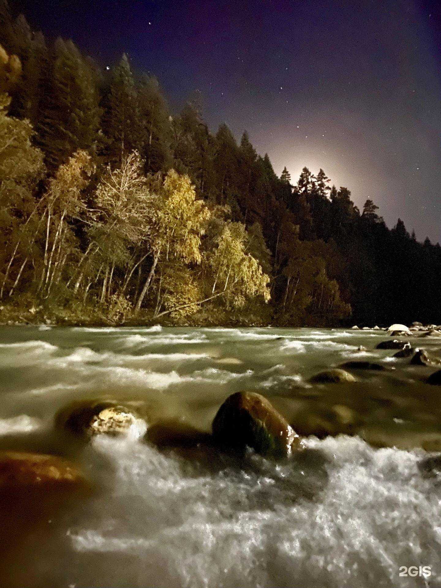 Отзывы на компанию Реджувитал в Вольске c фото