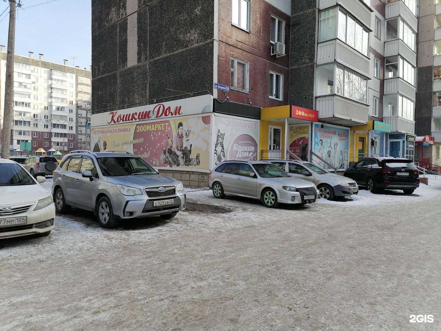 Отзывы на компанию Кошкин дом в г. Красноярск c фото