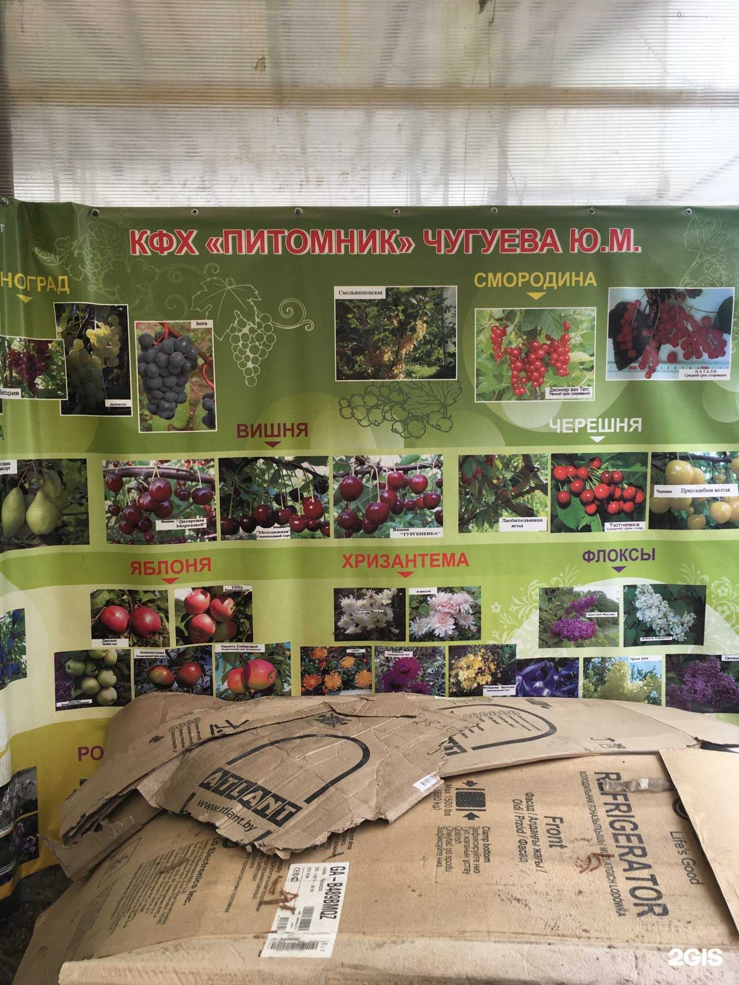 Отзывы на компанию Питомник в г. Смоленск c фото