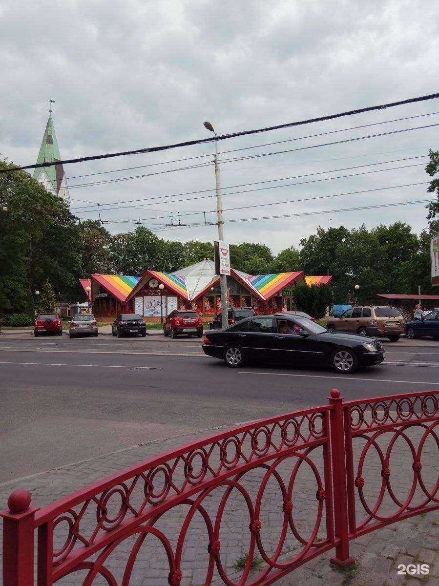 Отзывы на компанию Большой праздник в Калининграде c фото - фотография 2 из 2