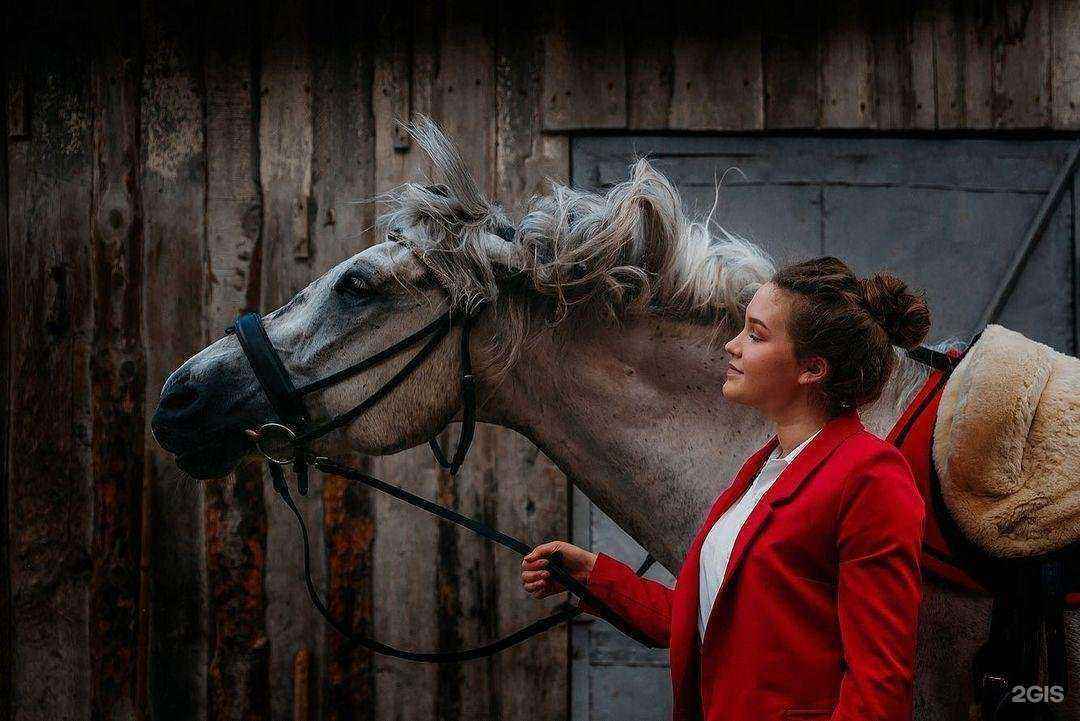 Отзывы на компанию Зебра в Чебоксарах c фото