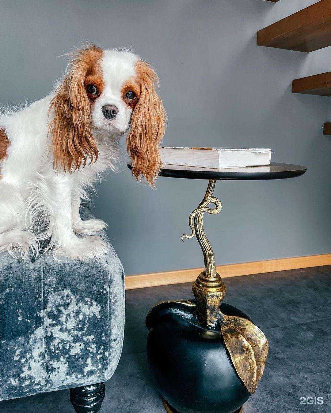 Отзывы на компанию Bogacho в Липецке c фото