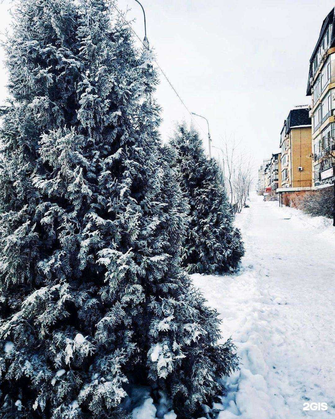 Отзывы на компанию Волгострой в г. Волгоград c фото