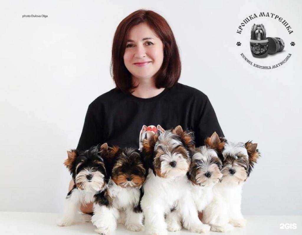 Отзывы на компанию Управление ветеринарии Екатеринбурга в Екатеринбурге c фото