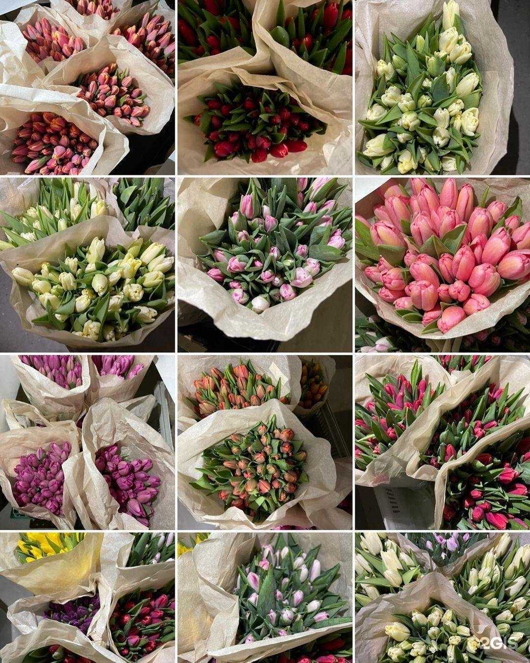 Отзывы на компанию Мегафлора в Ярославле c фото