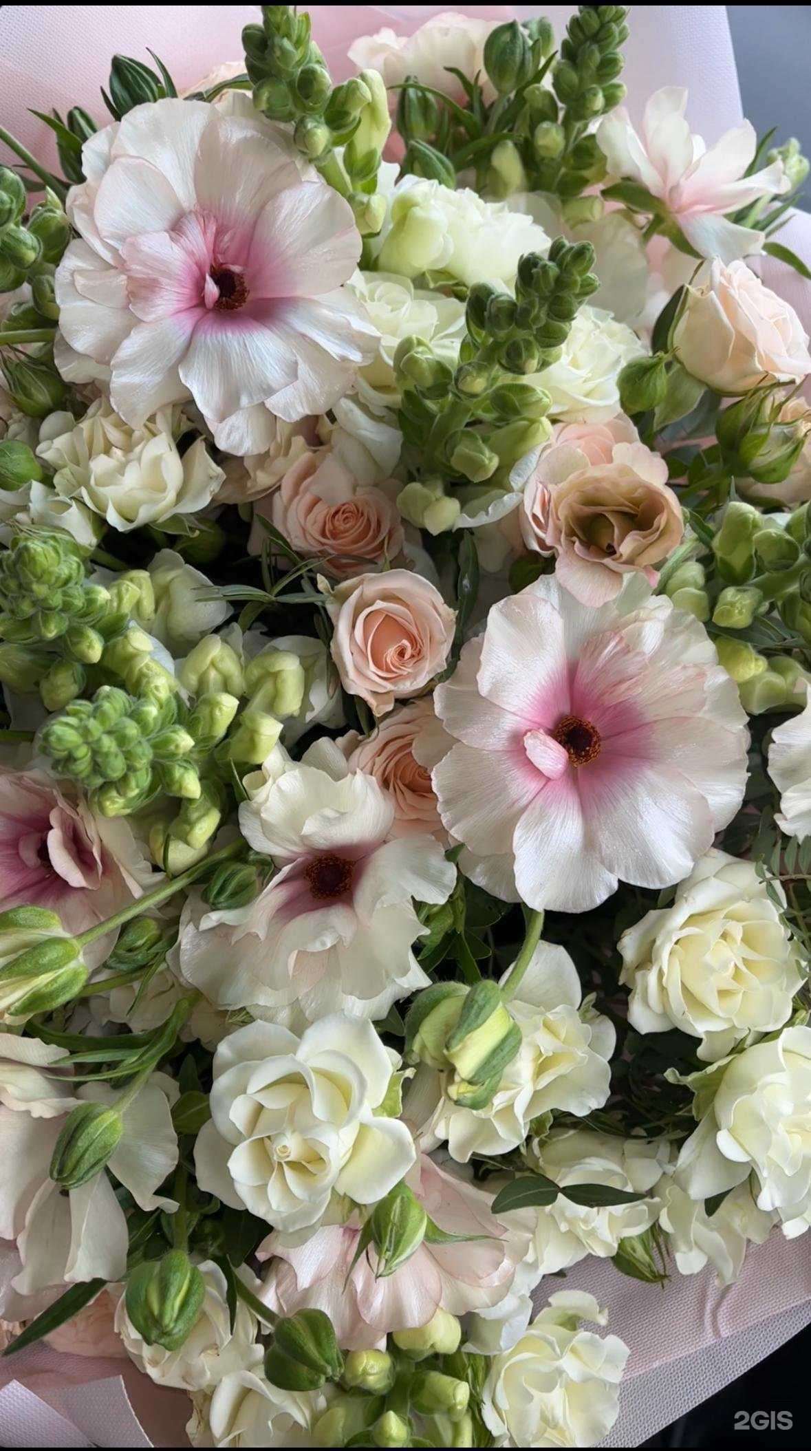 Отзывы на компанию Floriana в Пятигорске c фото