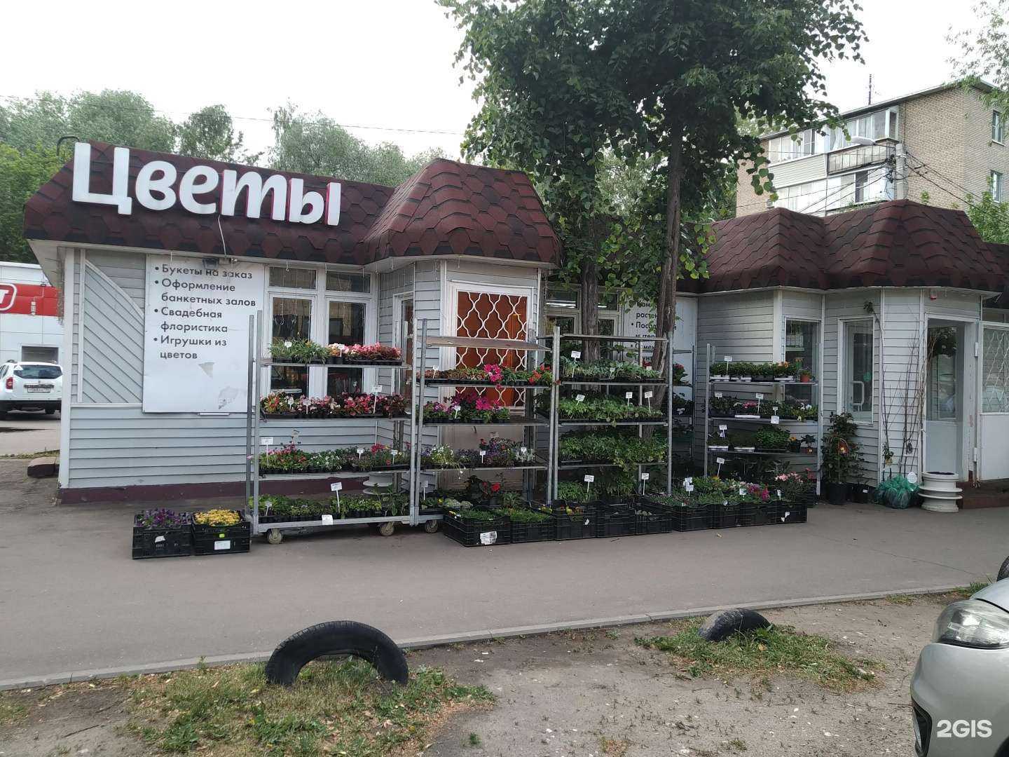 Отзывы на компанию Мир растений в Раменском c фото