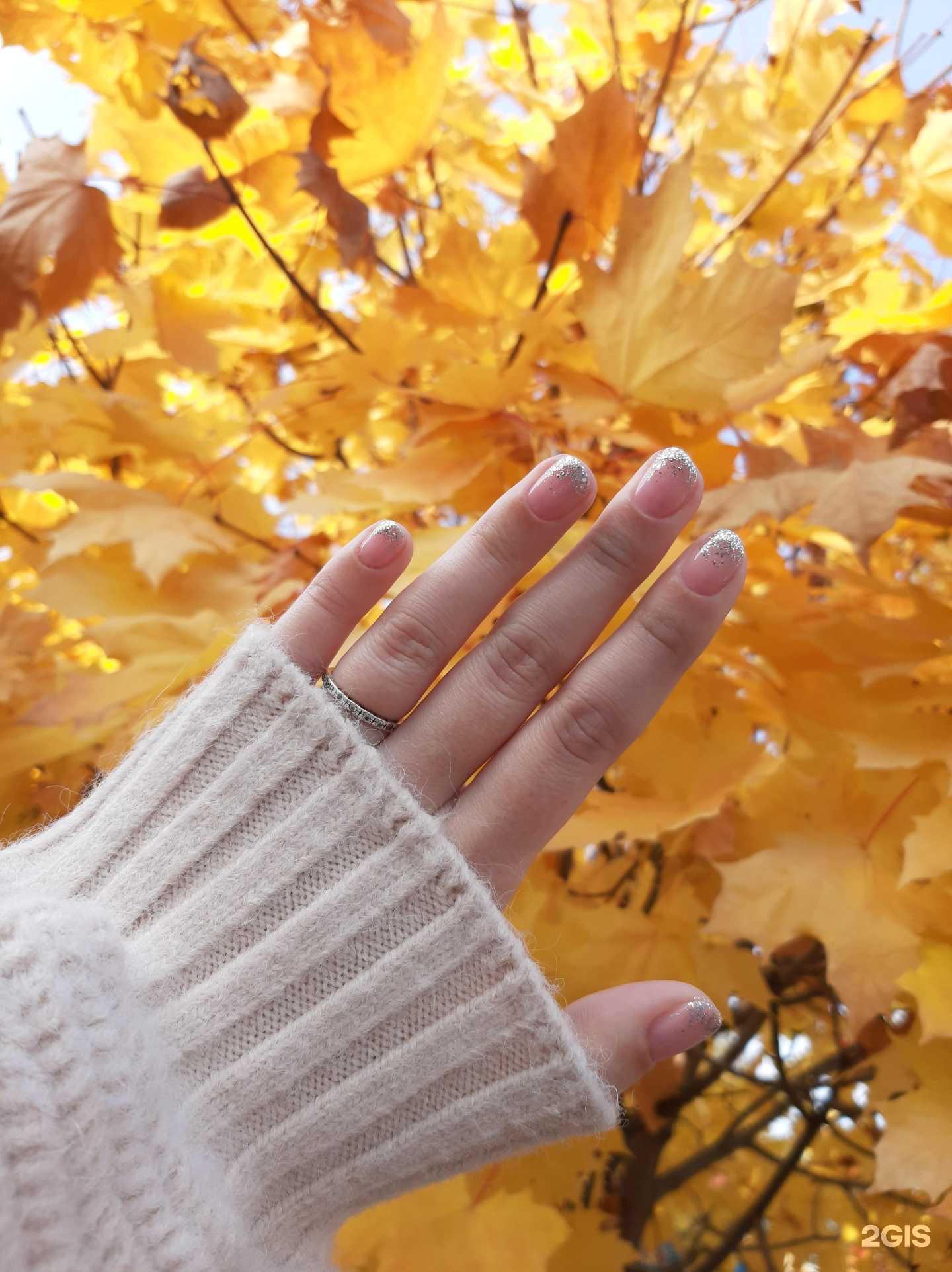 Отзывы на компанию Leeloo в г. Бор c фото