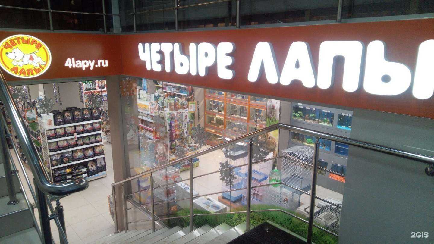 Отзывы на компанию Четыре лапы в Владимире c фото