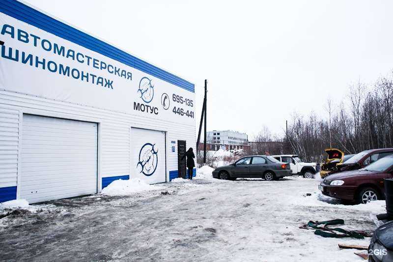Отзывы на компанию Мотус в Архангельске c фото
