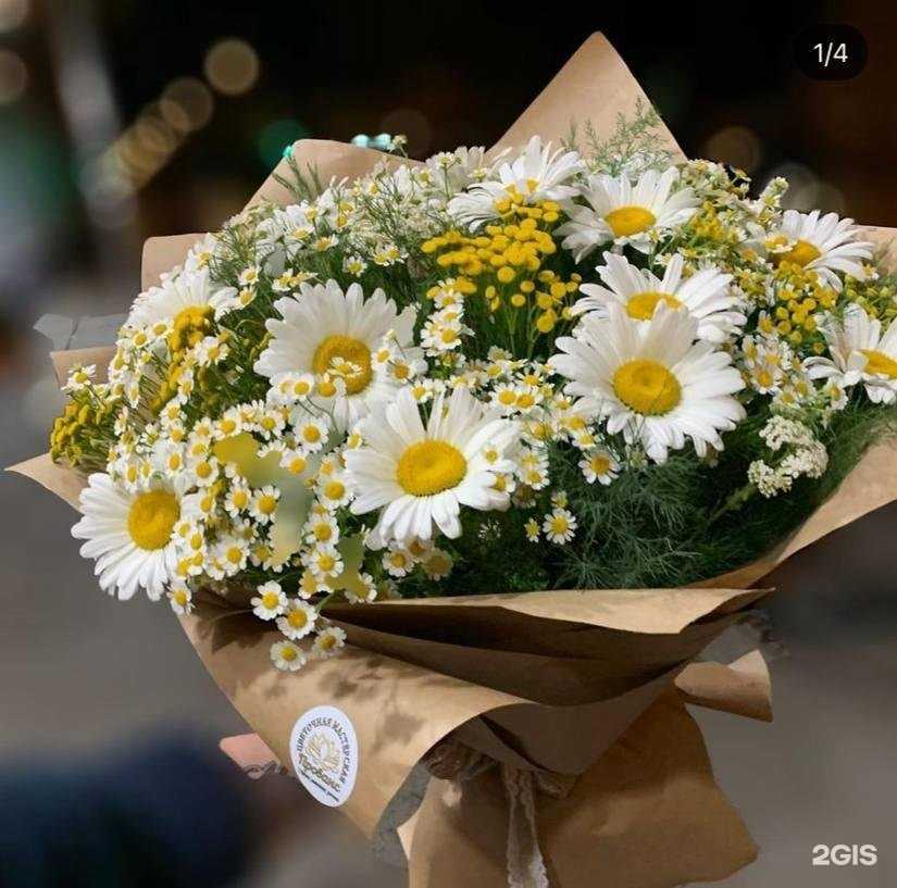 Отзывы на компанию Прованс в Ростове-на-Дону c фото