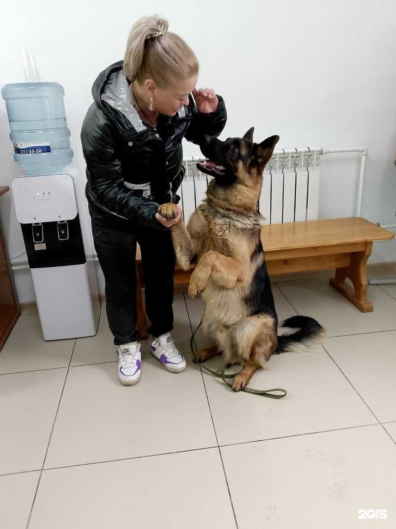 Отзывы на компанию ВетЛайф в г. Бийск c фото