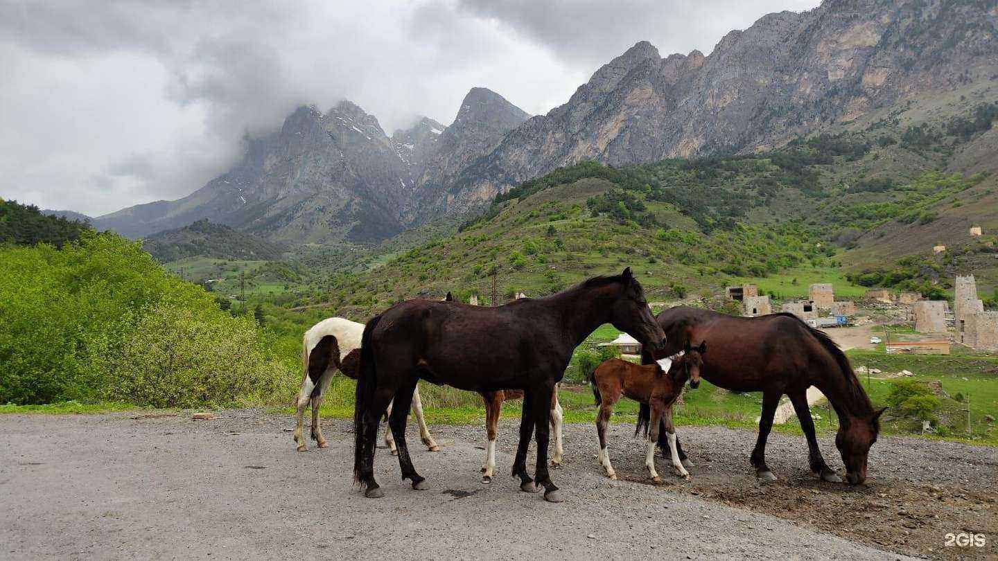 Отзывы на компанию Пятигорск в Пятигорске c фото
