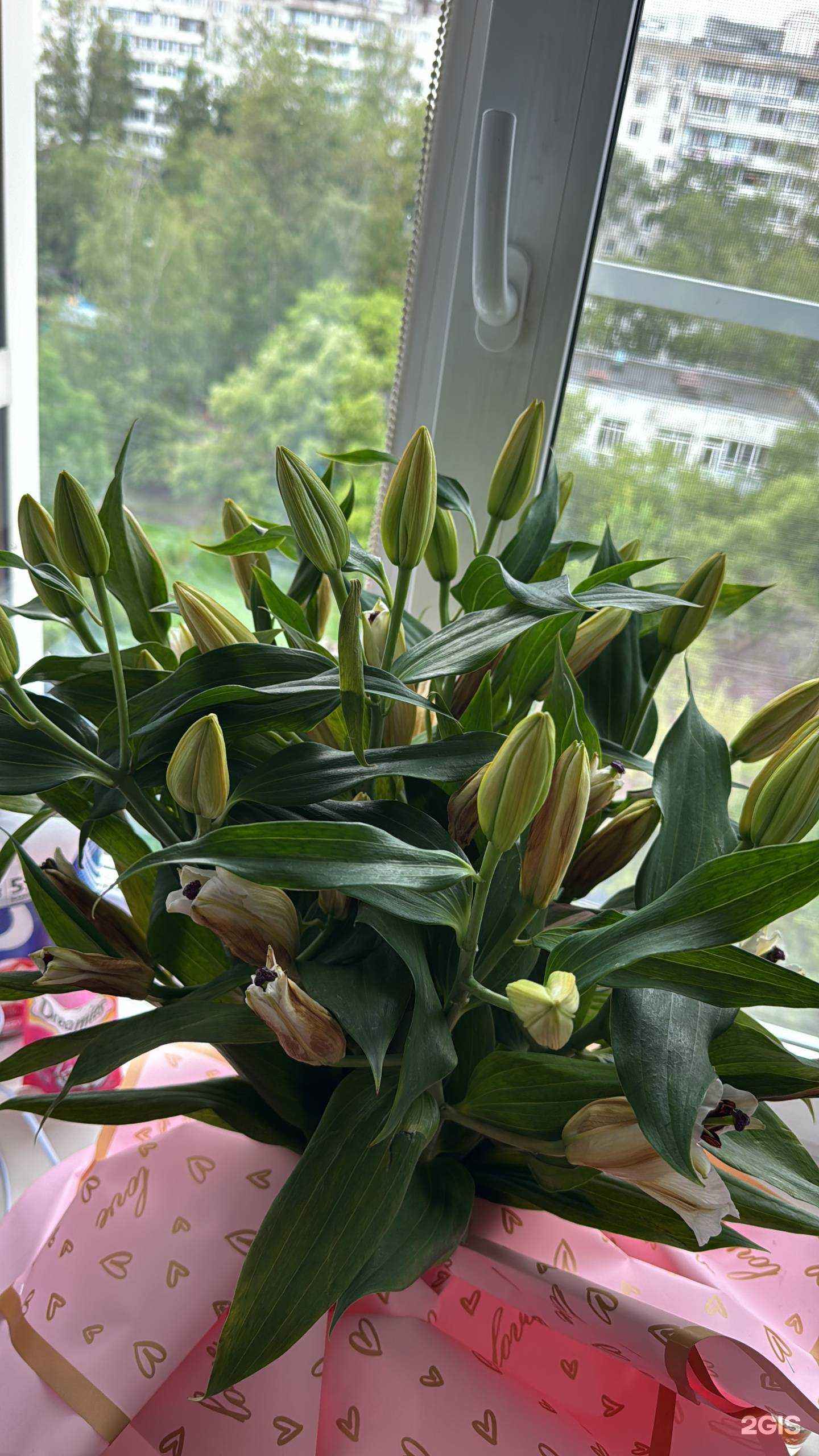 Отзывы на компанию Azeriflores в Хабаровске c фото