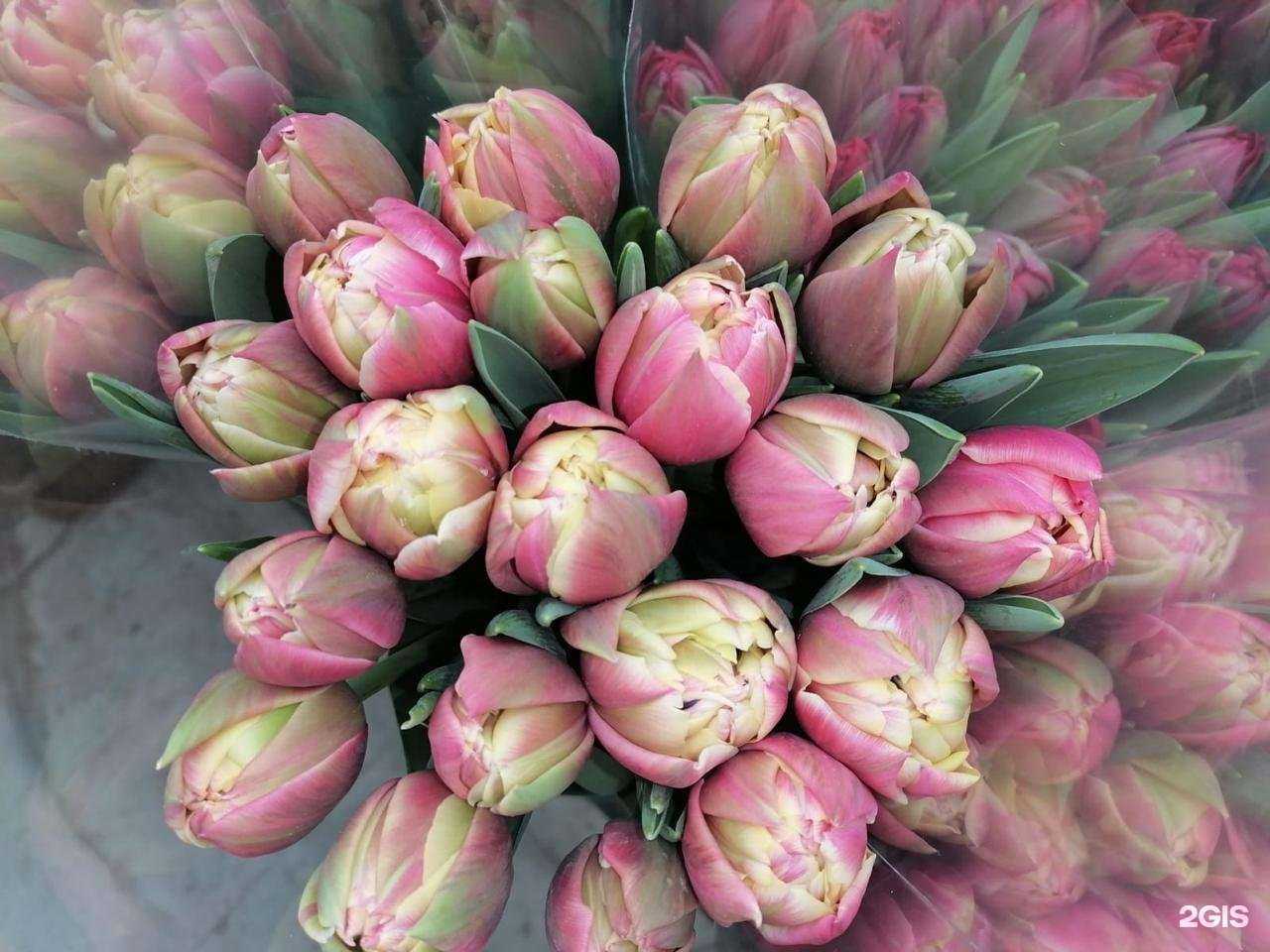 Отзывы на компанию GreenBee в г. Краснодар c фото