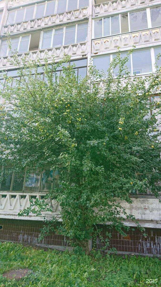 Отзывы на компанию Autodoc.ru в Петрозаводске c фото - фотография 2 из 2