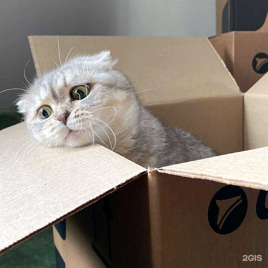 Отзывы на компанию СДЭК в г. Михайловка c фото