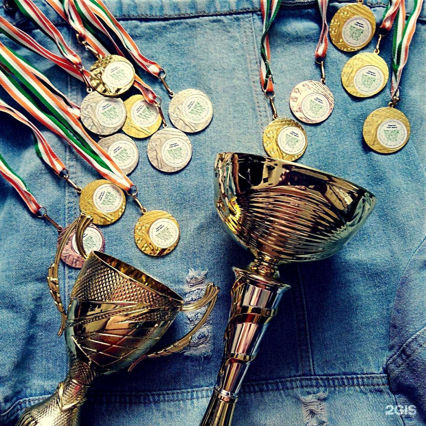 Отзывы на компанию Сибирская академия ирландского танца в г. Кемерово c фото