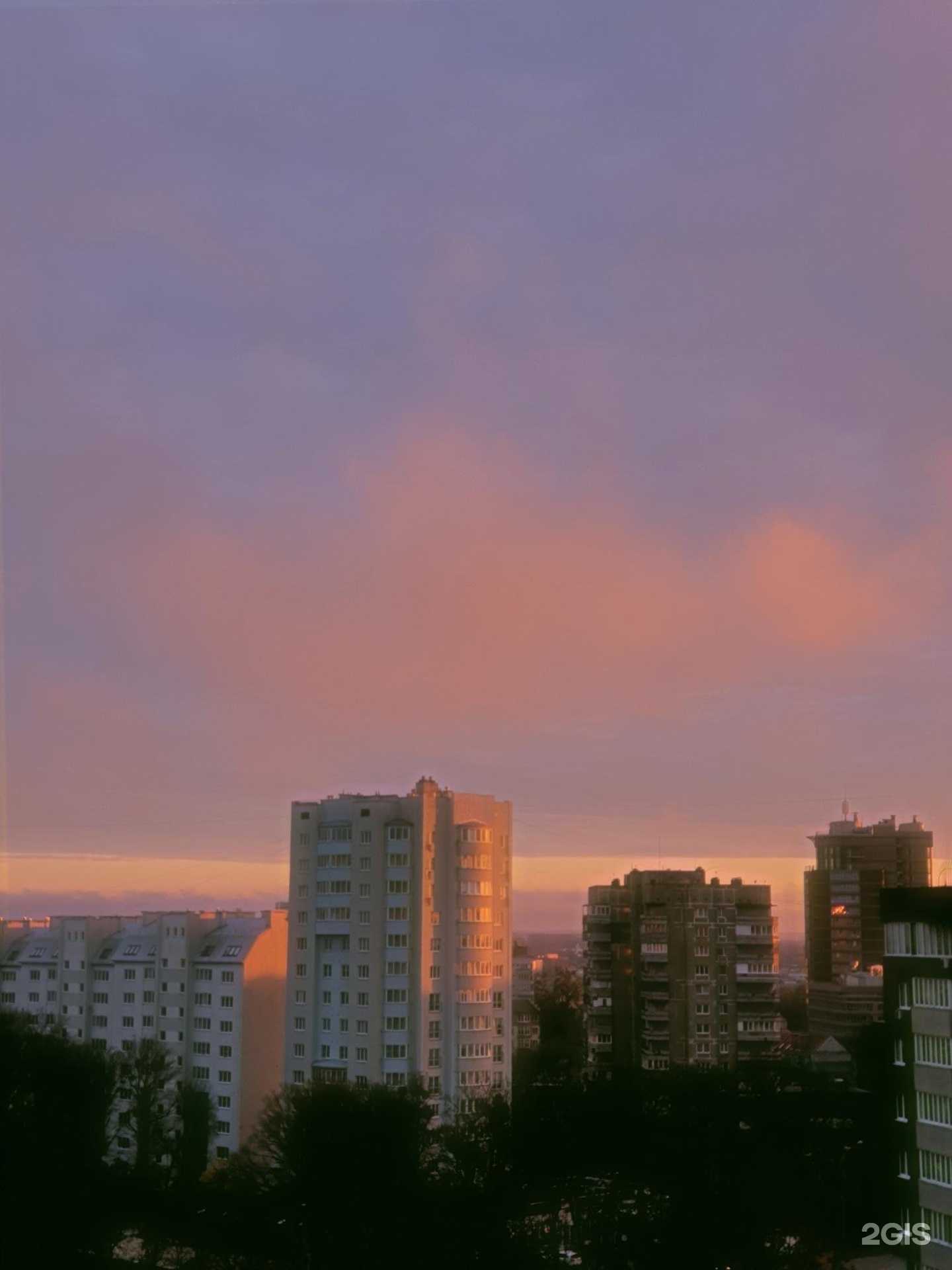 Отзывы на компанию Рыжий хвост в Калининграде c фото - фотография 2 из 2