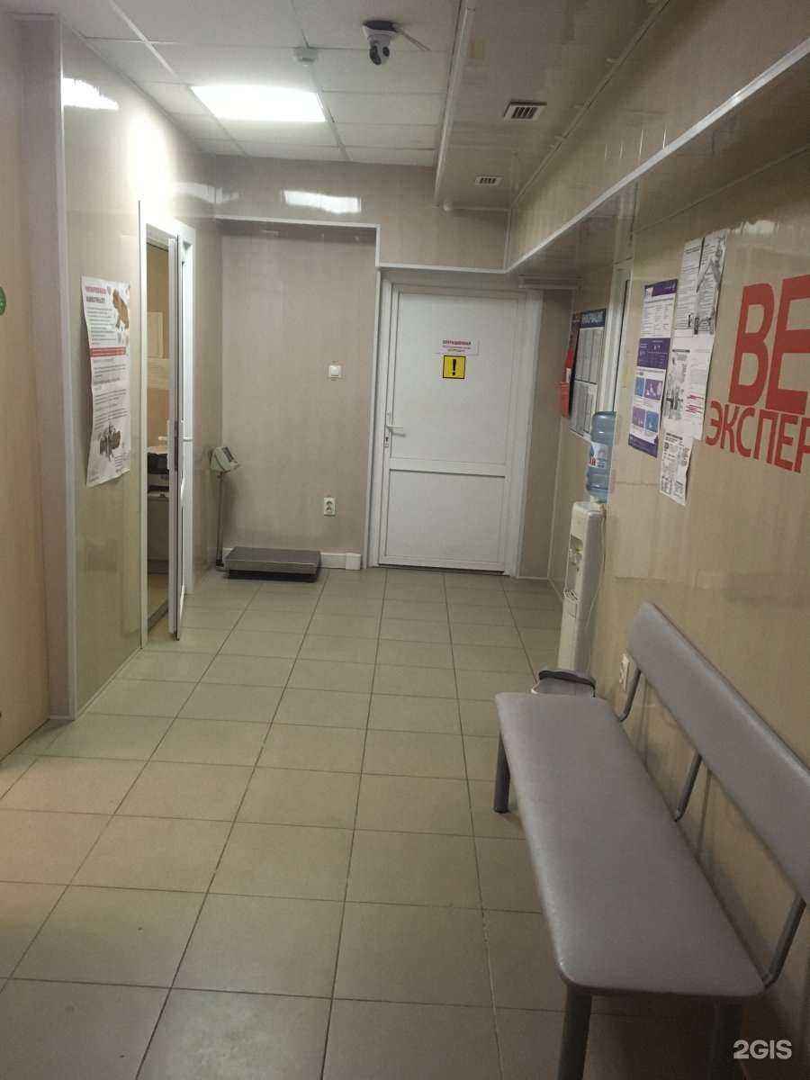 Отзывы на компанию ВетЭксперт в Ставрополе c фото