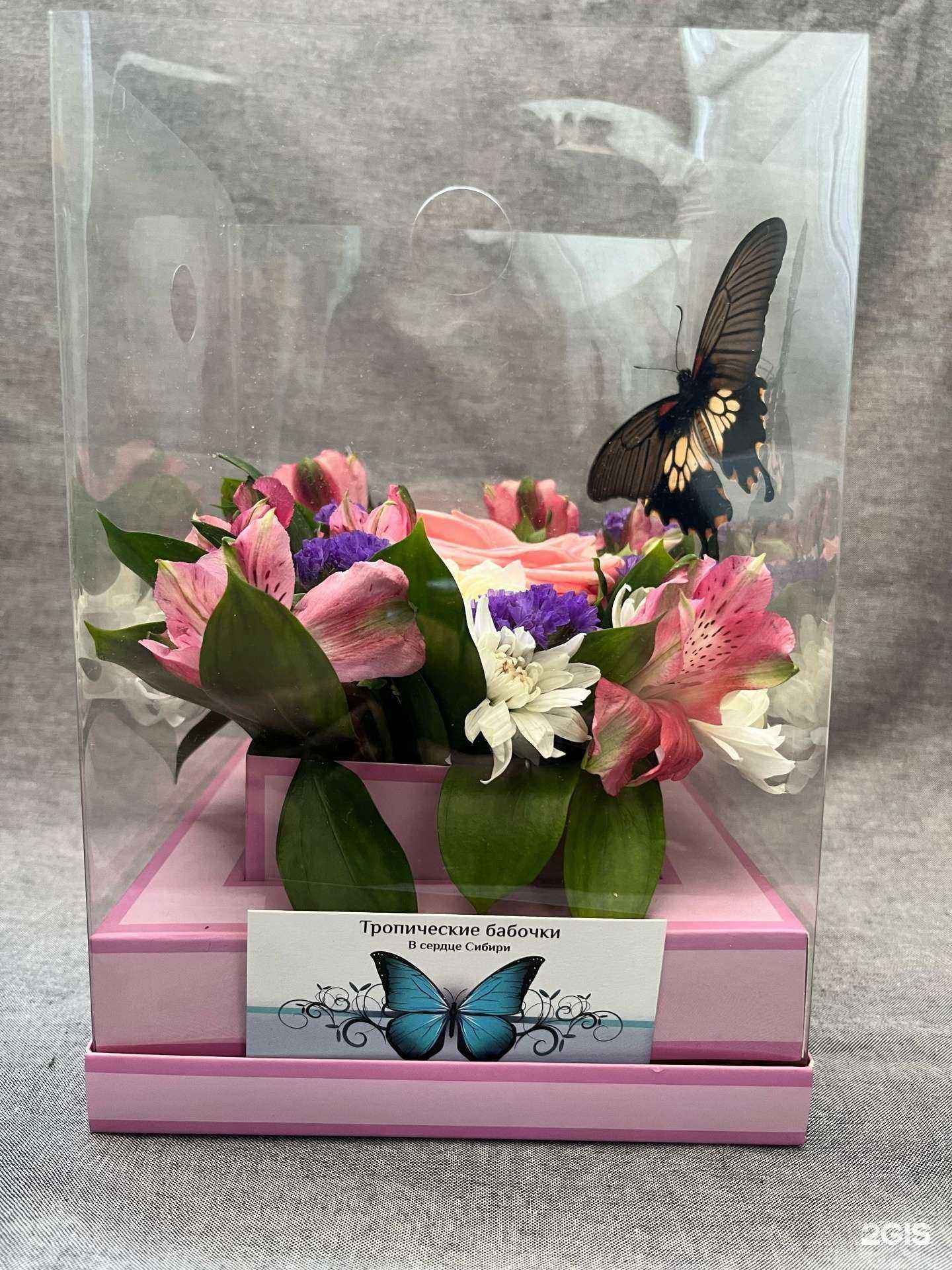 Отзывы на компанию Le Button в Новосибирске c фото