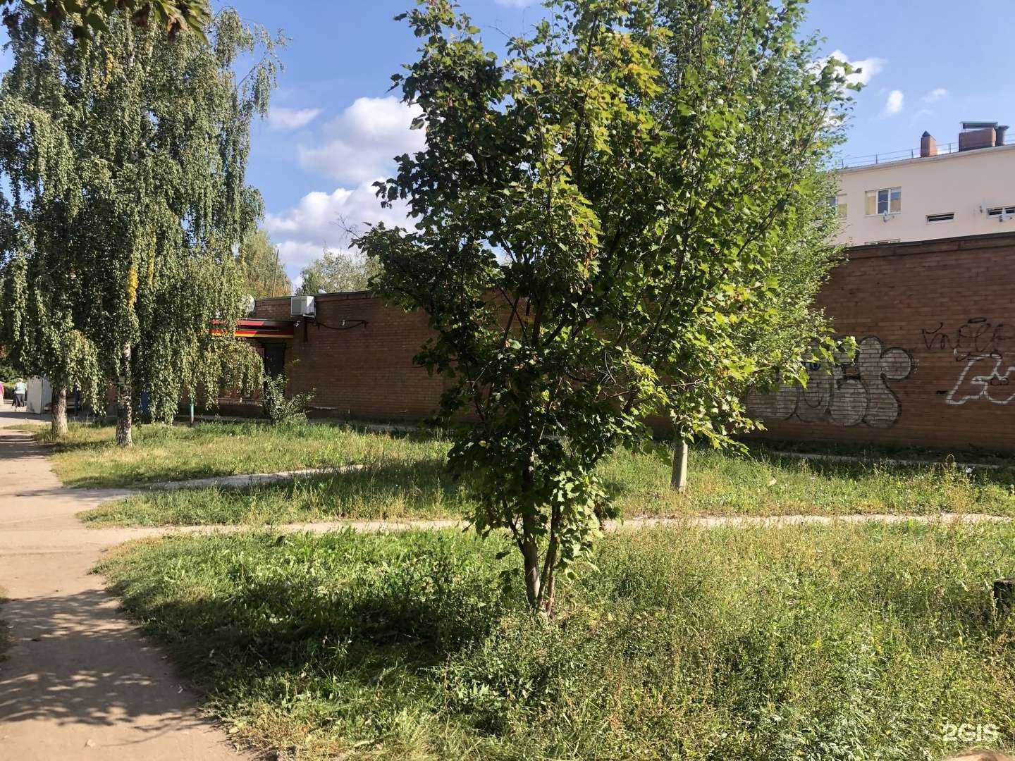 Отзывы на компанию Самокат в г. Тольятти c фото