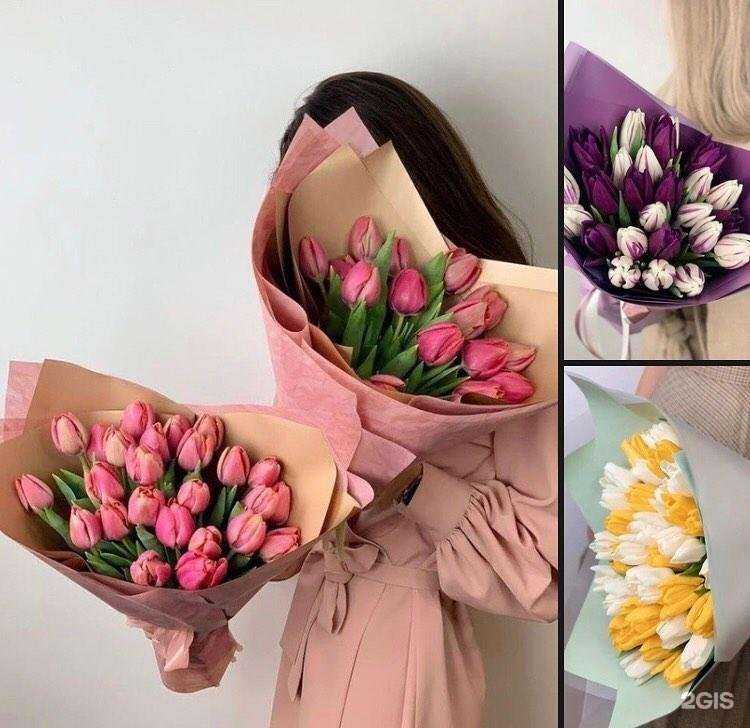 Отзывы на компанию Sprint46 в г. Курск c фото