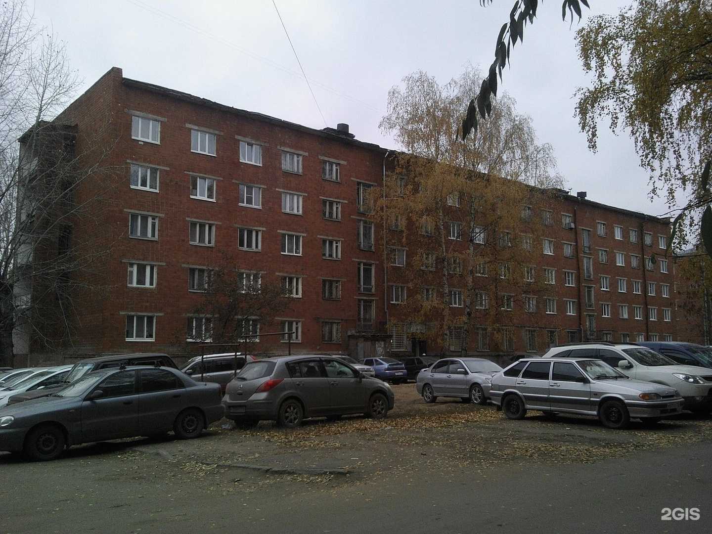 Отзывы на компанию Дружок в Ижевске c фото - фотография 2 из 2