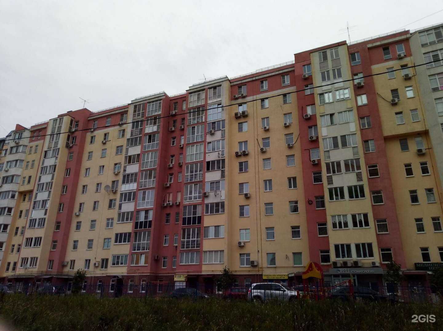 Отзывы на компанию Маугли в Нижнем Новгороде c фото - фотография 2 из 2