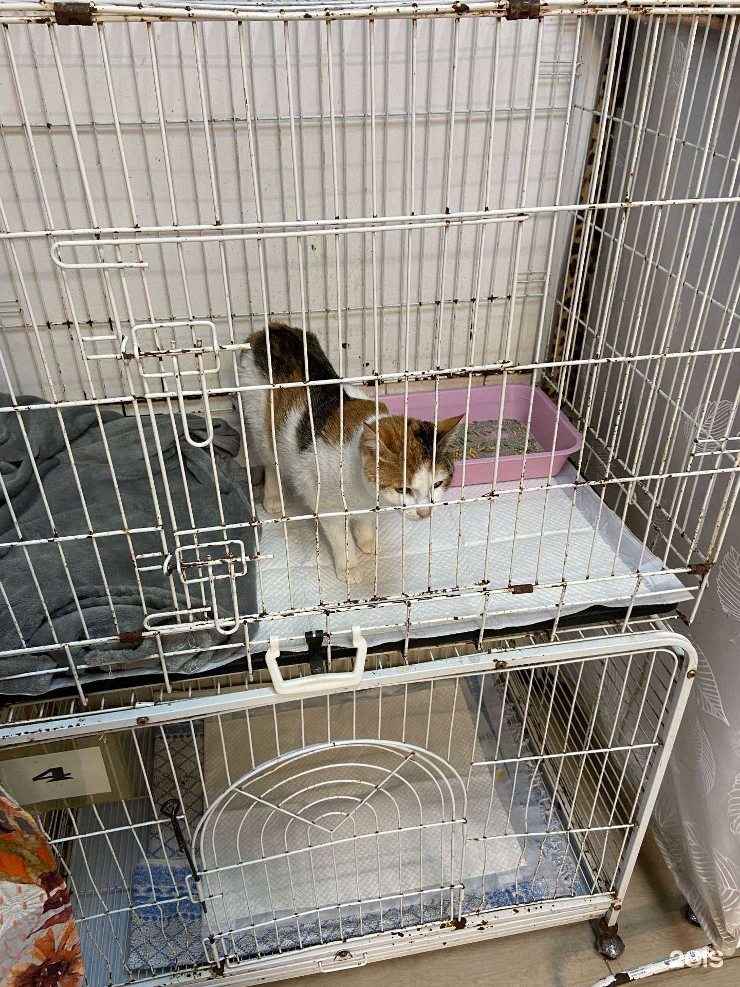 Отзывы на компанию Благосервис в г. Владивосток c фото