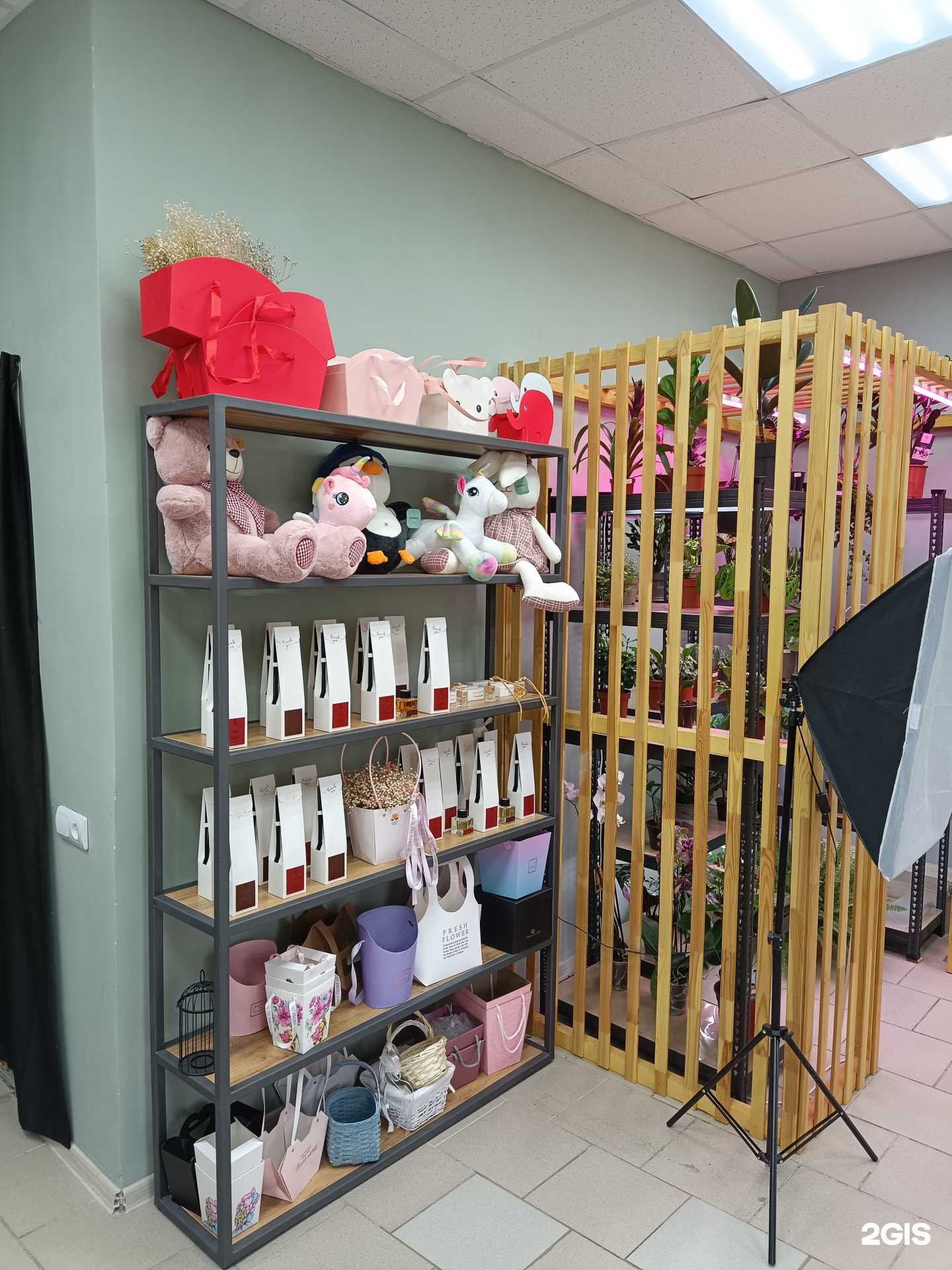 Отзывы на компанию Sunny flora в г. Губаха c фото