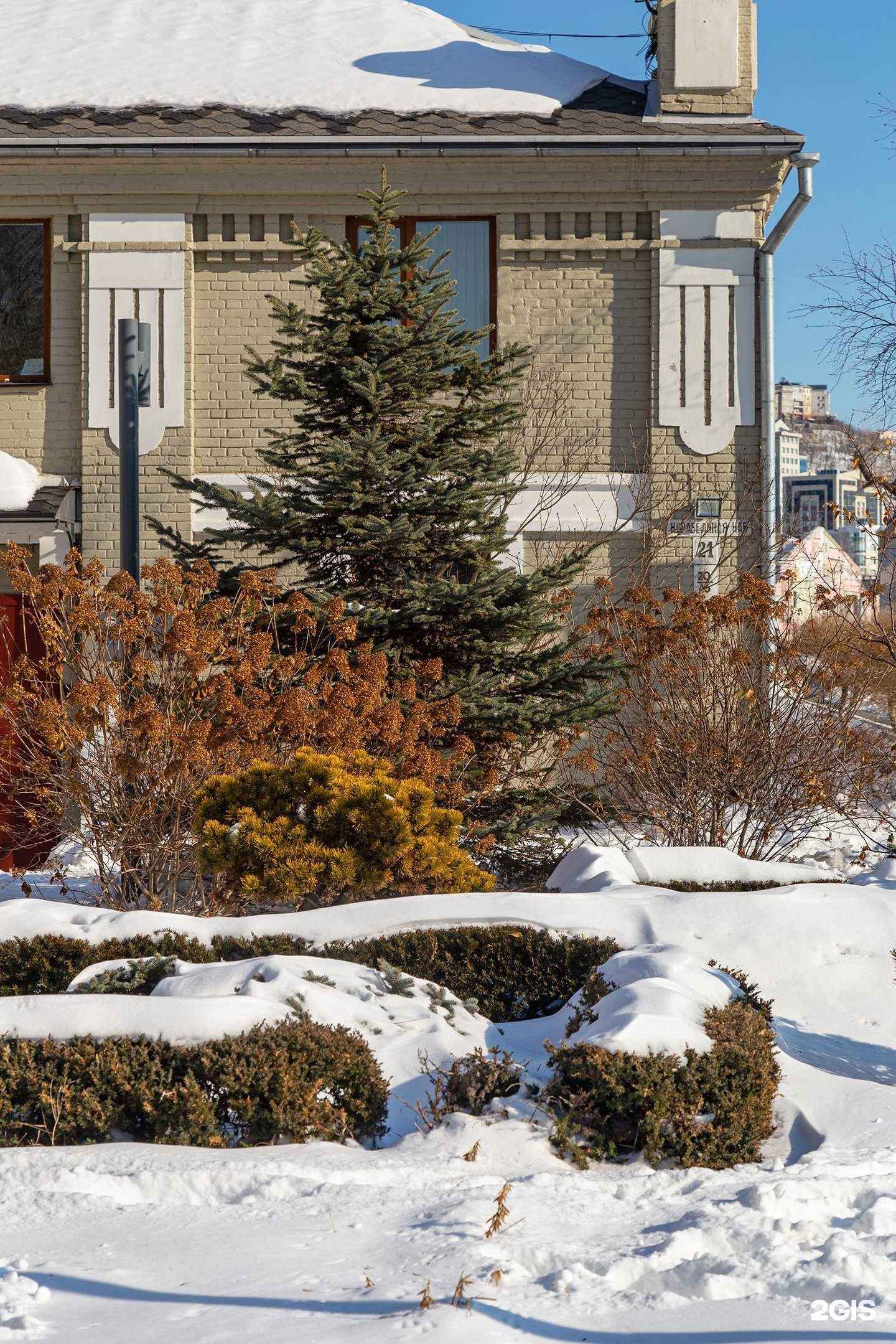 Отзывы на компанию Kariba dgen в г. Владивосток c фото