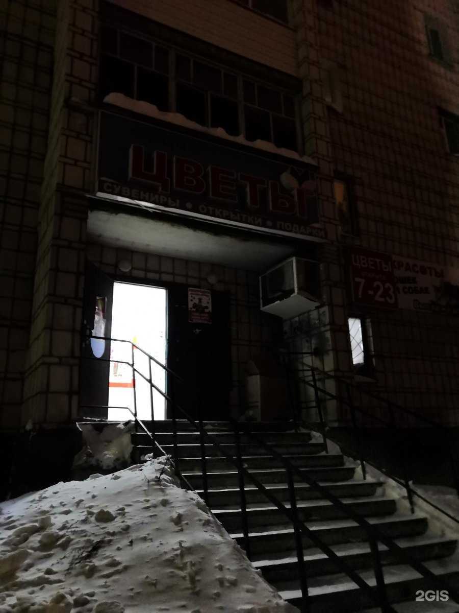 Отзывы на компанию Четыре лапы в г. Сыктывкар c фото