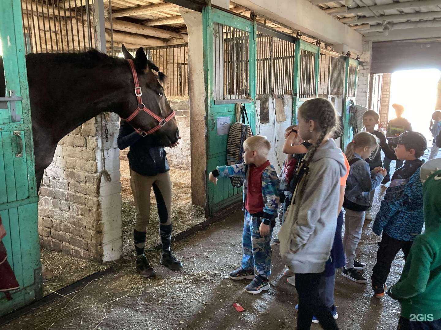 Отзывы на компанию Физкульт в Кирове c фото
