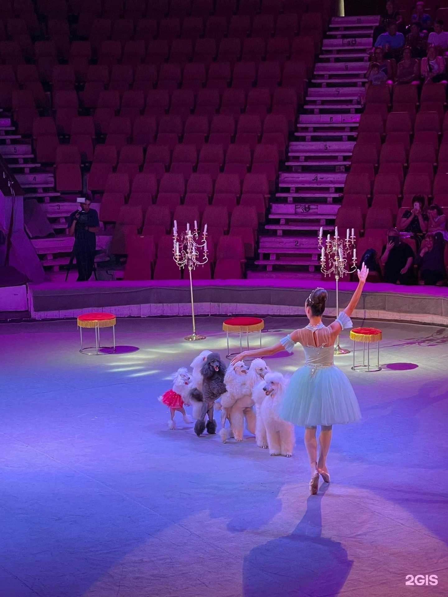 Отзывы на компанию Магнитогорский государственный цирк в г. Магнитогорск c фото