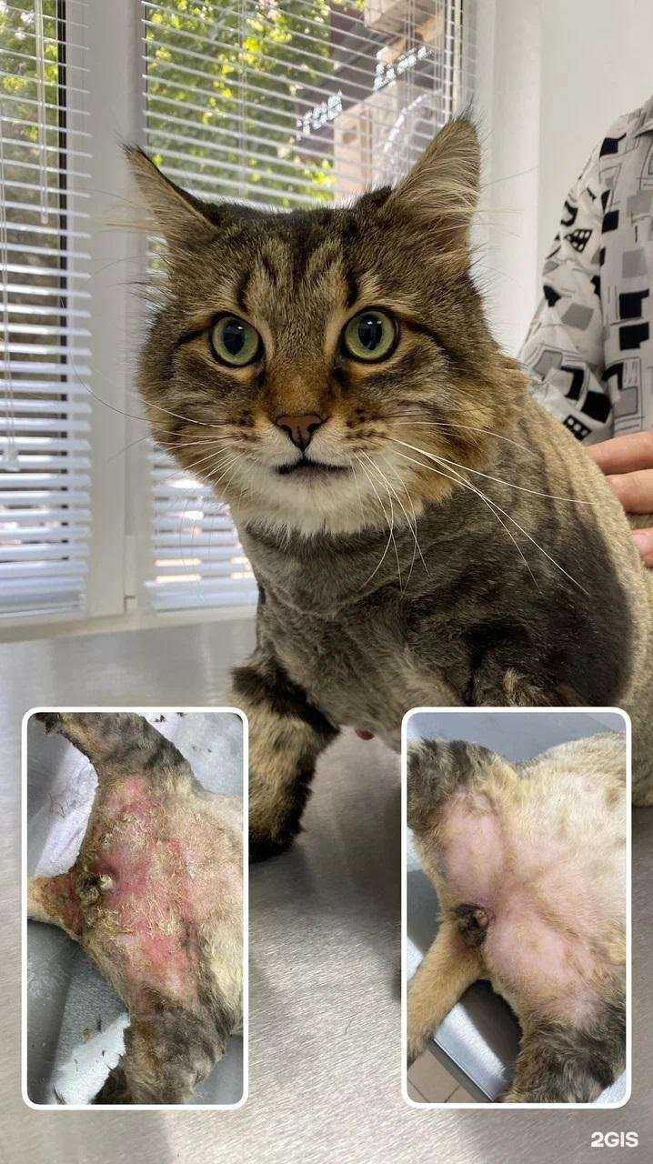 Отзывы на компанию Феникс в г. Краснодар c фото