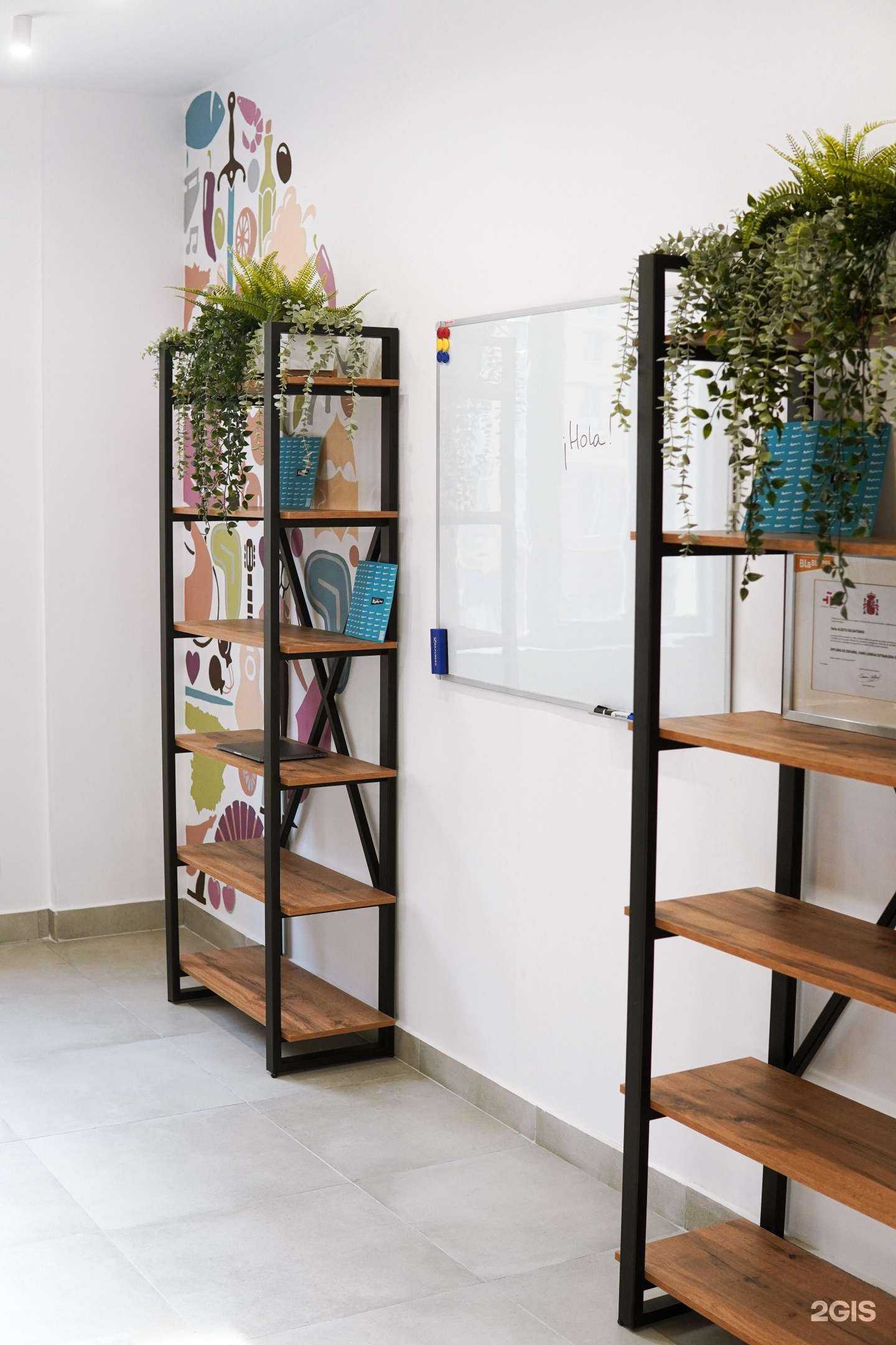 Отзывы на компанию BlaBlamos в Казани c фото