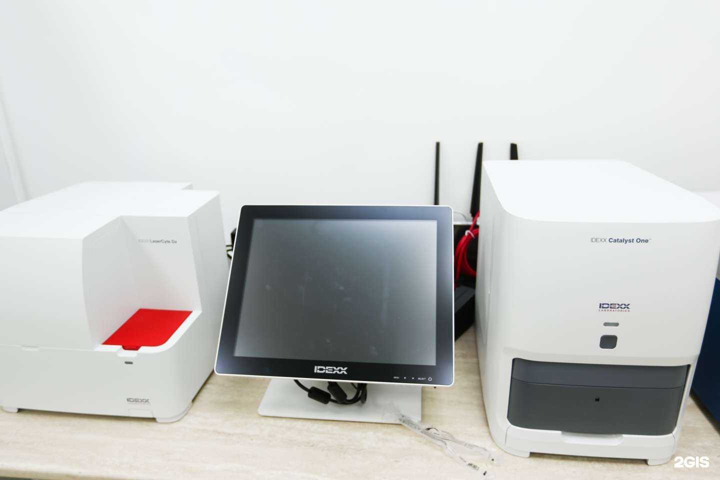 Отзывы на компанию Ветклиника Чернышевой в Казани c фото