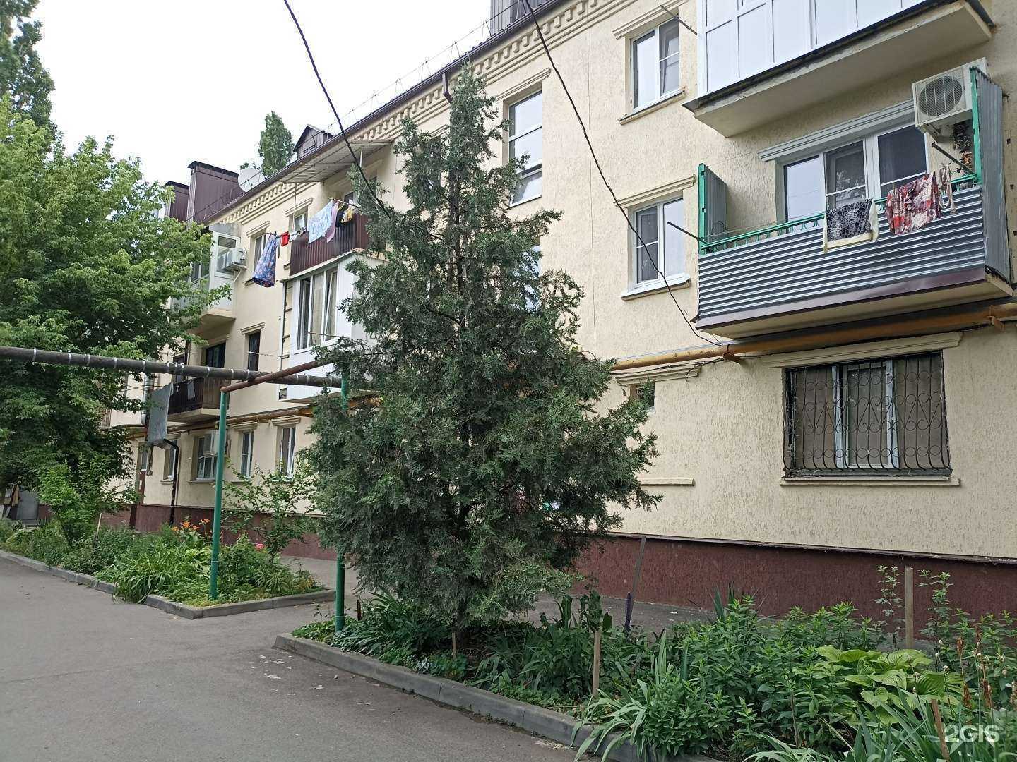 Отзывы на компанию Обжора в Минеральных Водах c фото - фотография 2 из 2