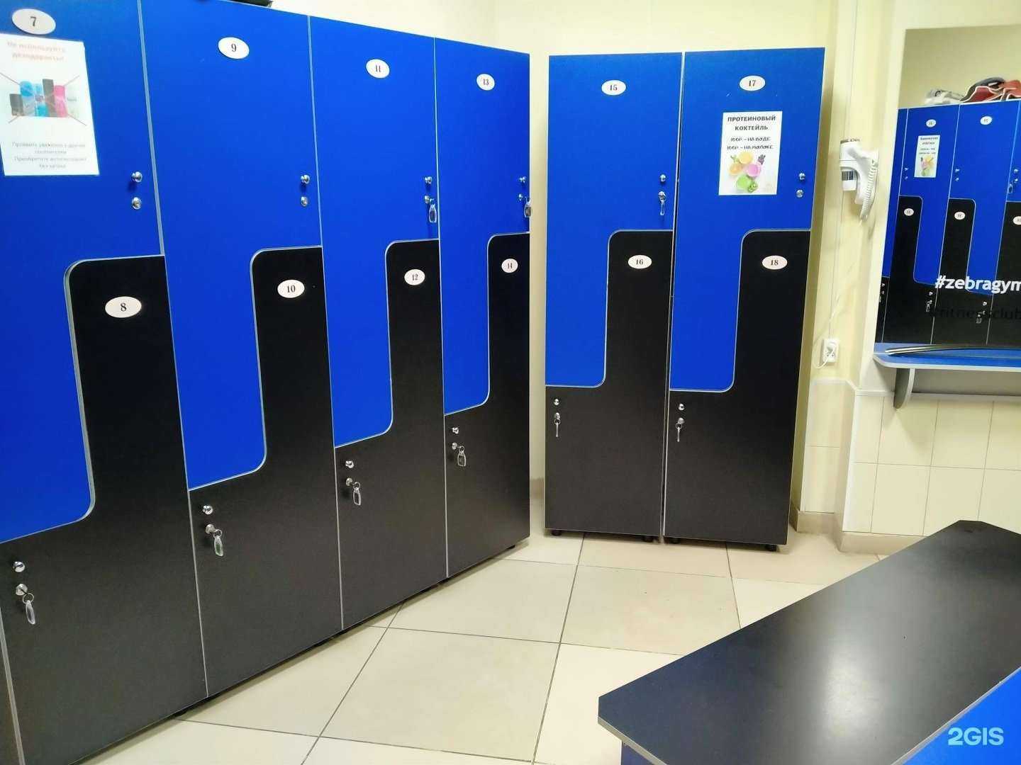 Отзывы на компанию Zebragym в г. Челябинск c фото