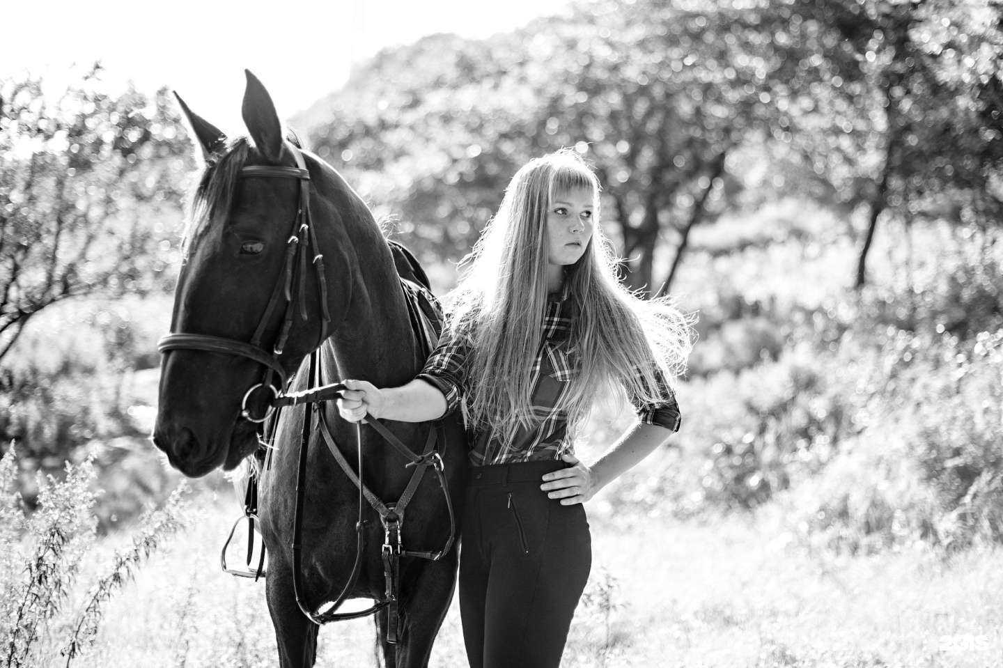Отзывы на компанию Fast horse в г. Владивосток c фото