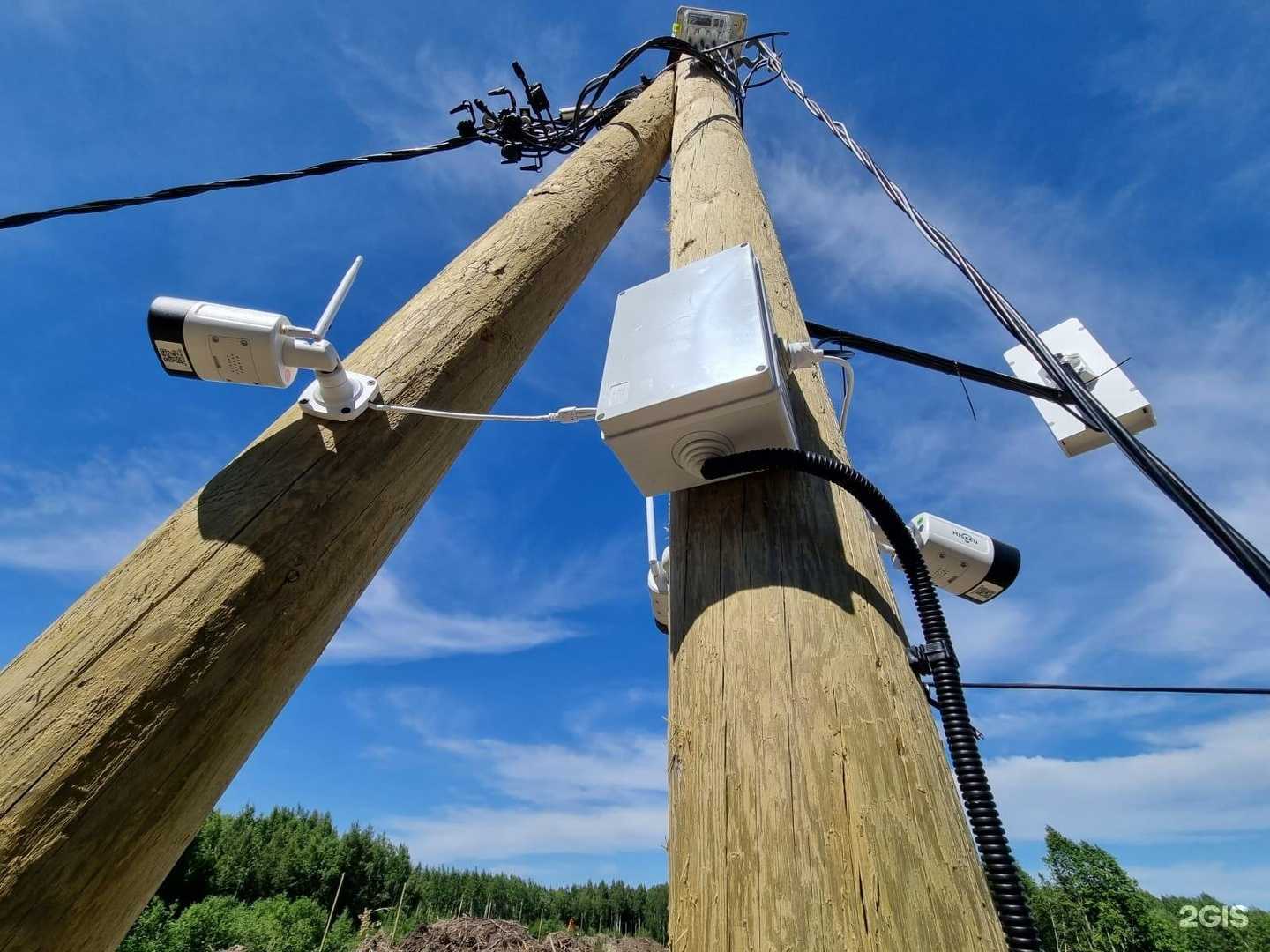 Отзывы на компанию Prointernet в Воронеже c фото