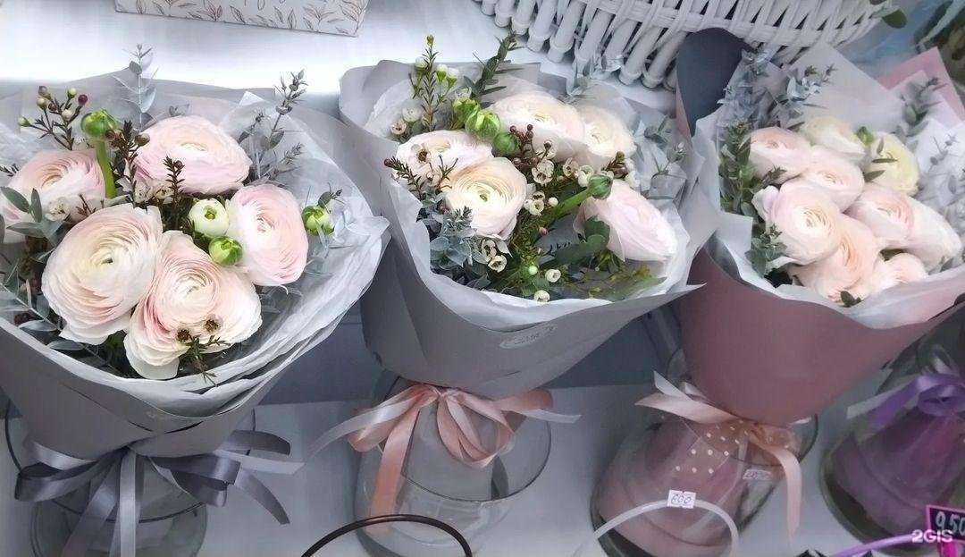 Отзывы на компанию Василек в Красноармейске c фото