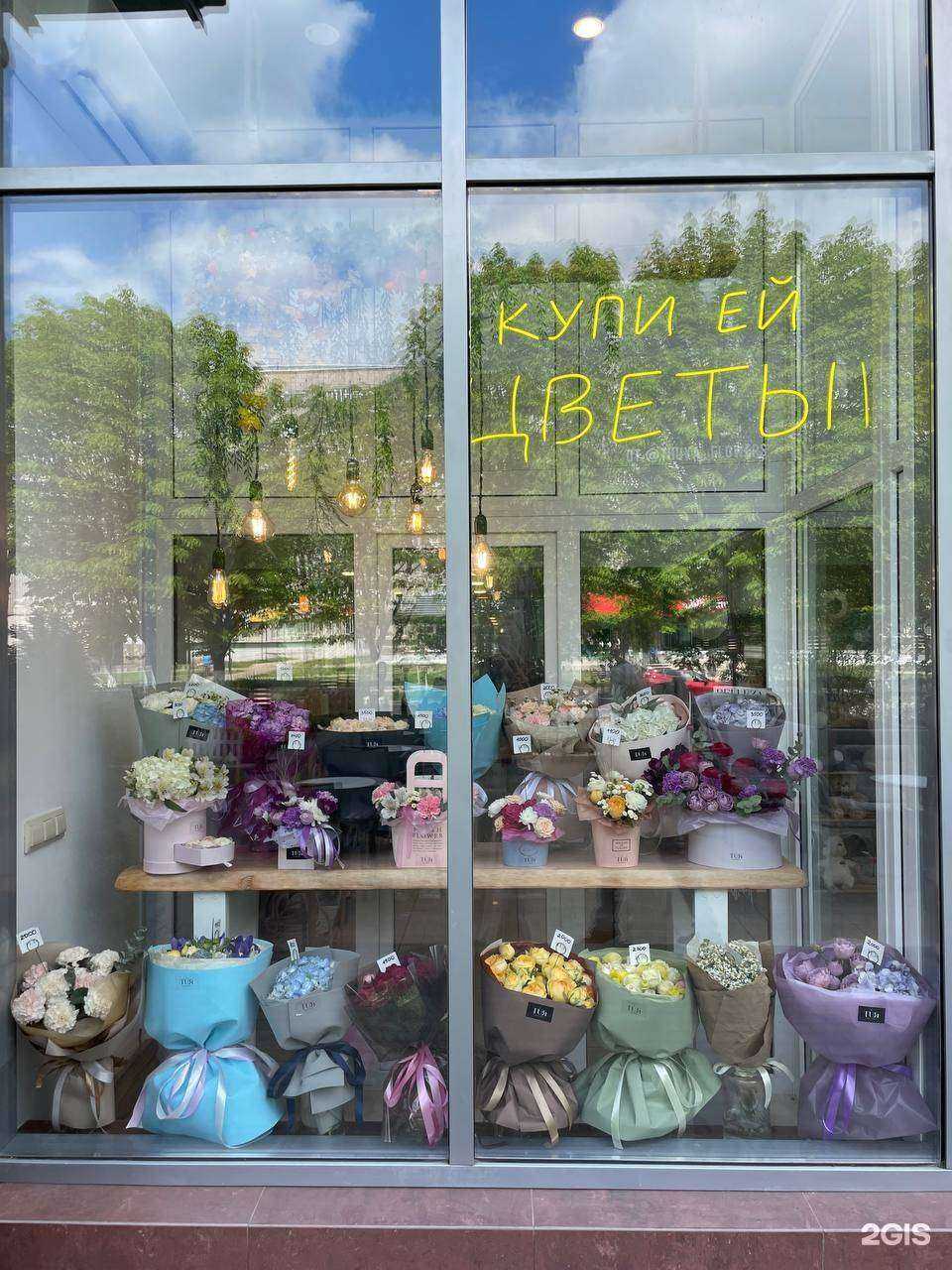 Отзывы на компанию Tuя в Майкопе c фото