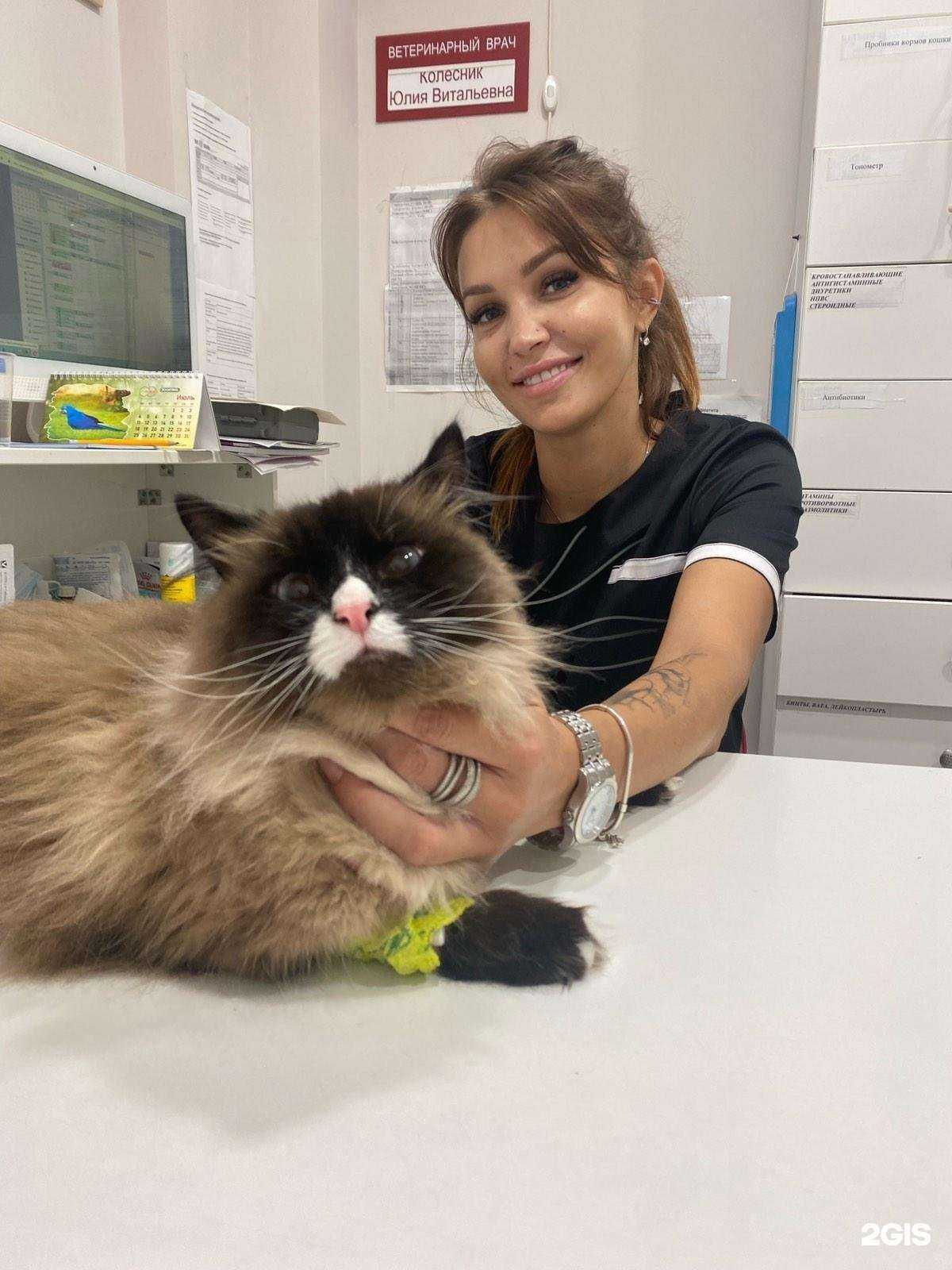 Отзывы на компанию Ника в Перми c фото