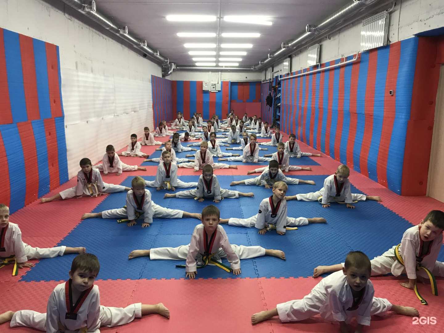 Отзывы на компанию Федерация тхэквондо г. Сосновоборска в Сосновоборске c фото