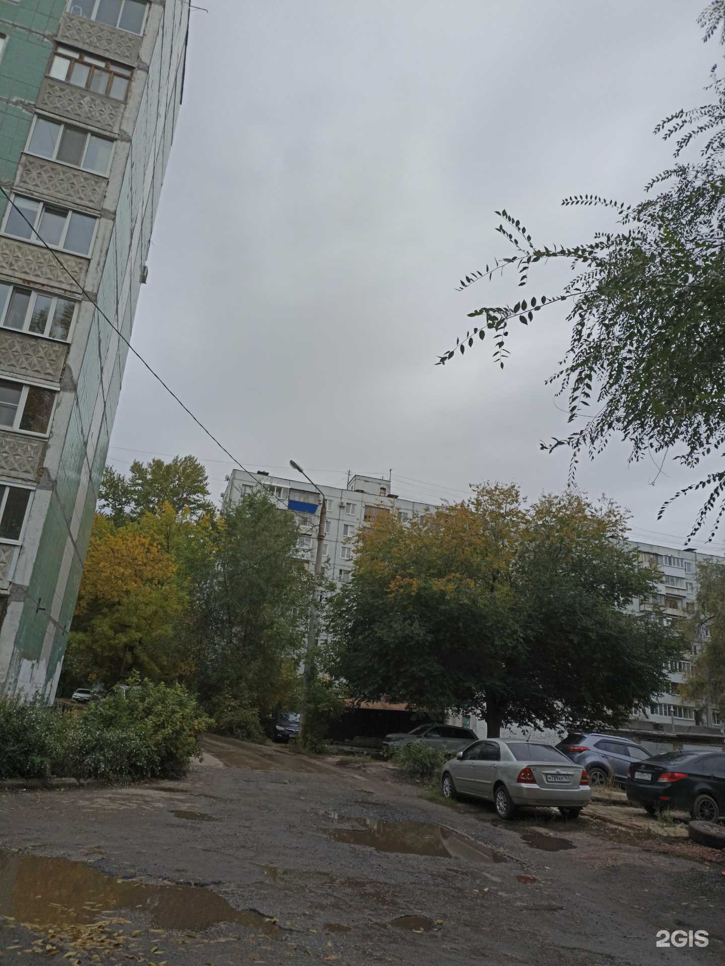 Отзывы на компанию Кат63 в Самаре c фото - фотография 2 из 2