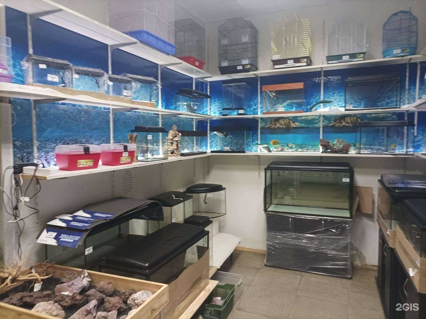 Отзывы на компанию Зоомагазин в г. Подольск c фото