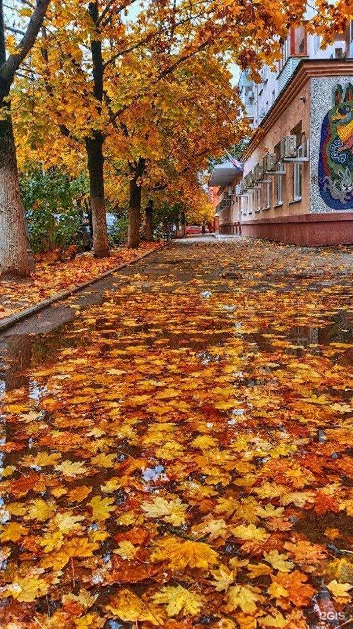 Отзывы на компанию Поликлиника №2 в г. Таганрог c фото