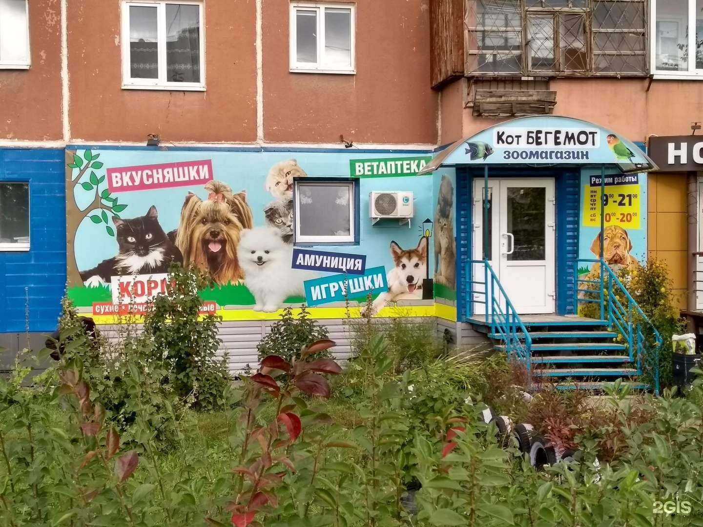 Отзывы на компанию Кот Бегемот в Каменске-Уральском c фото